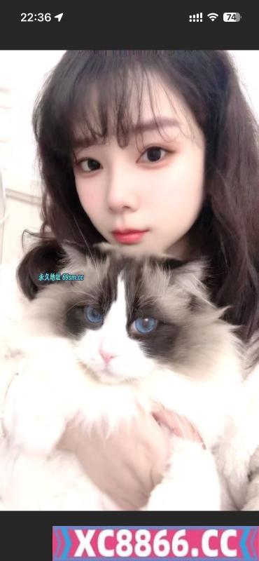 性价比少妇