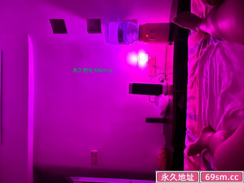 体验海珠妃妃