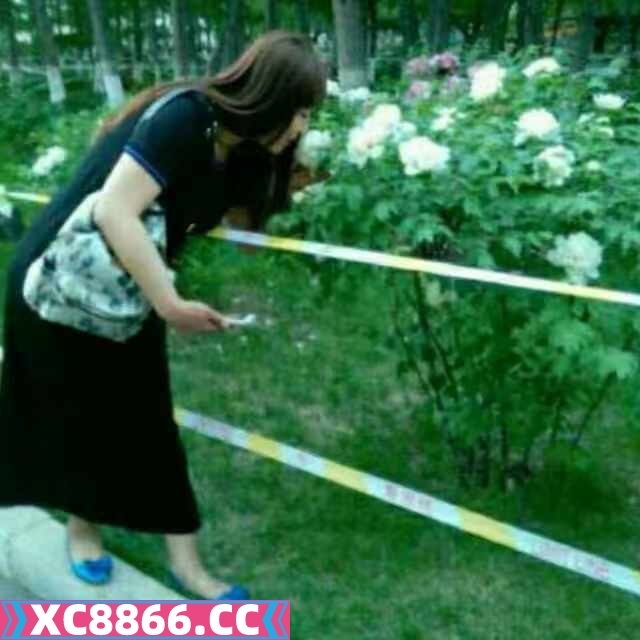 长春媚姐