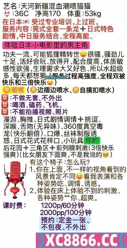天河新疆混血潮喷猫猫