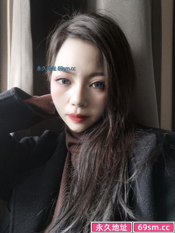 猫猫回归