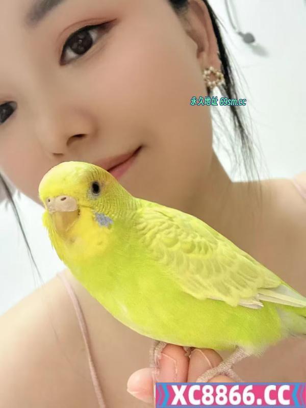 江岸个人半套小姐姐
