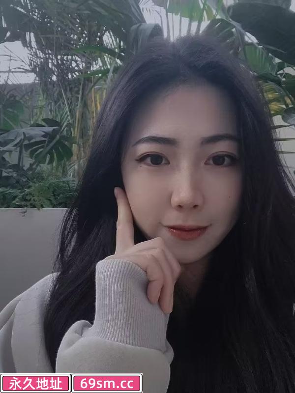 蜀山小猫