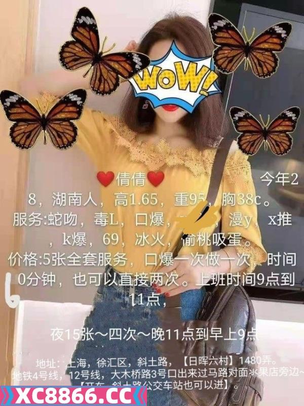 徐汇倩倩 性价比高