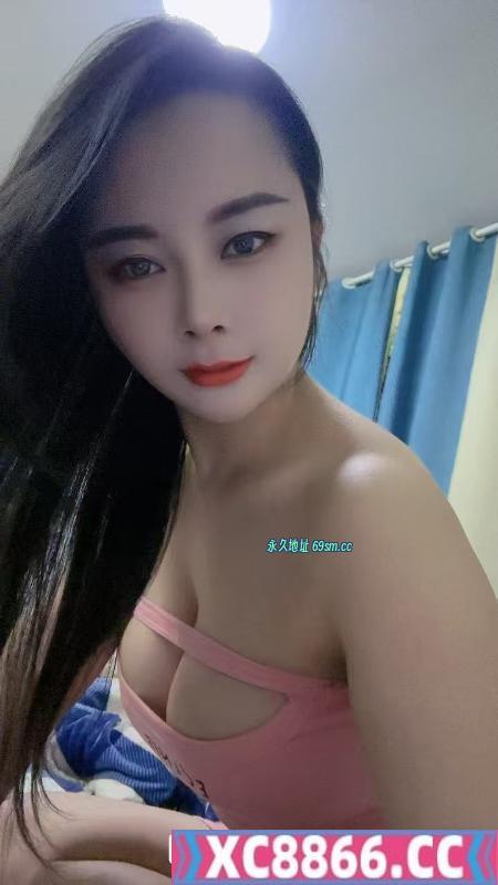 包河小夜猫