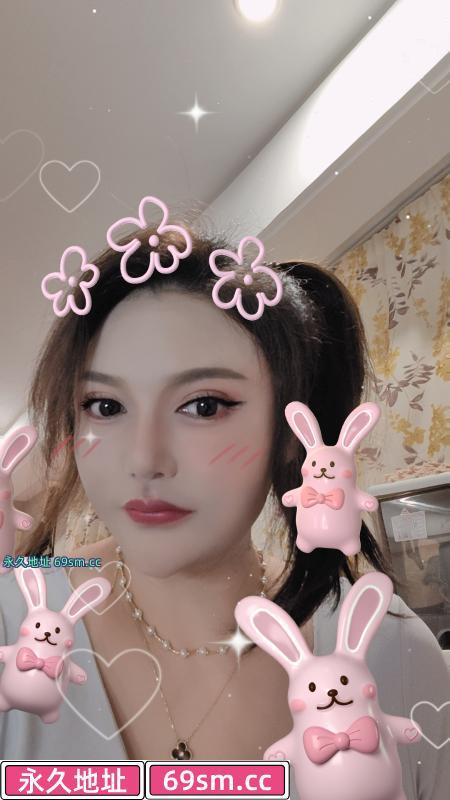 南站小野猫