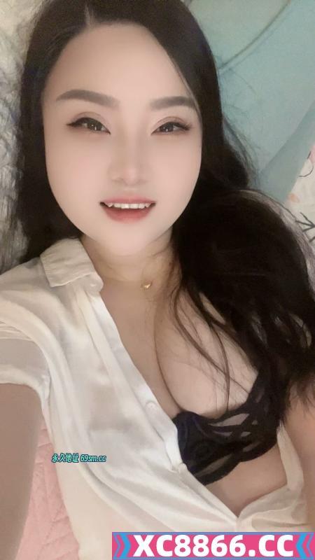 普陀真如猫猫