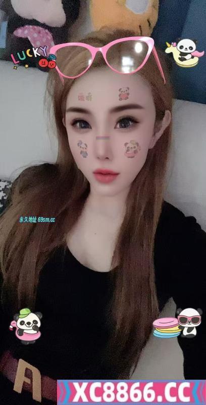 沈阳铁西菊花
