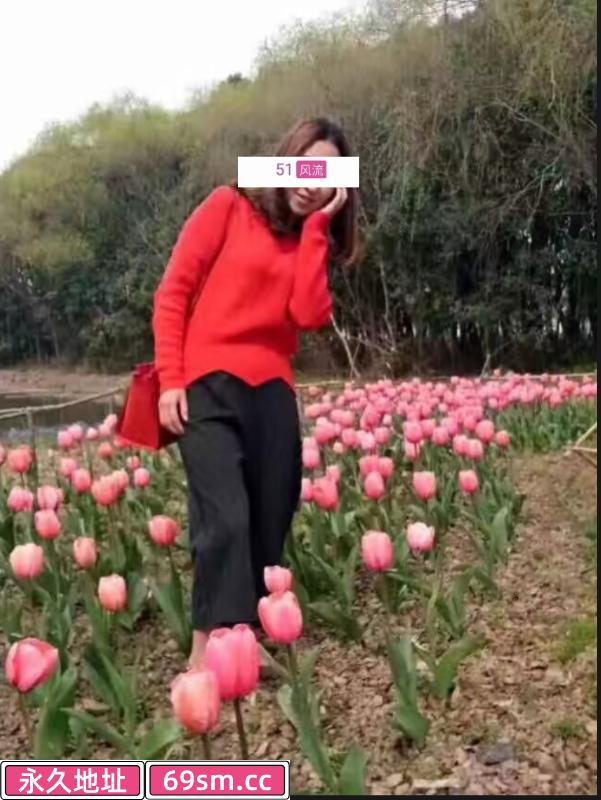 嘉兴市区熟女姐姐