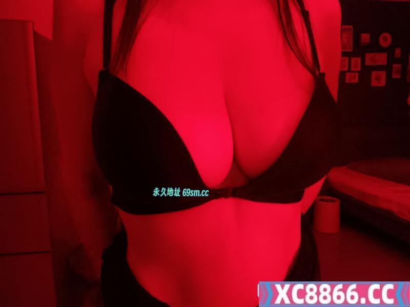 成都大奶牛