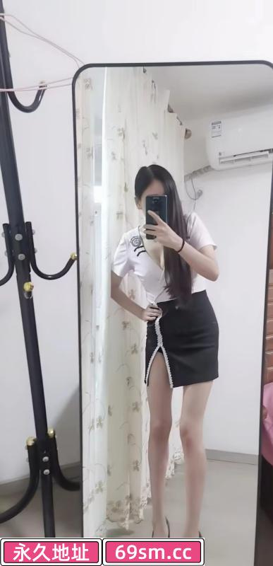 秦淮喵喵