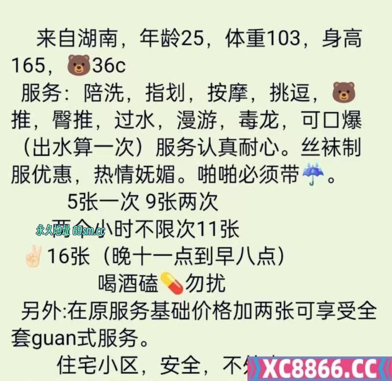 高新九儿