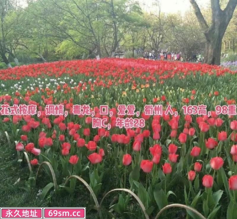 杭州服务少妇
