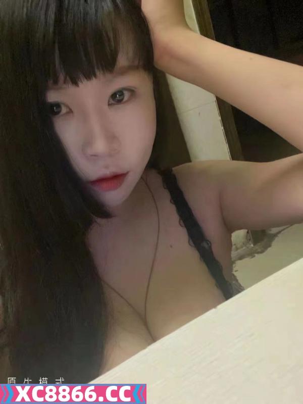 双马尾小野猫