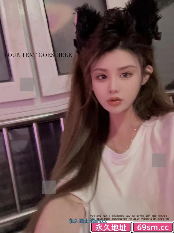 闵行猫咪