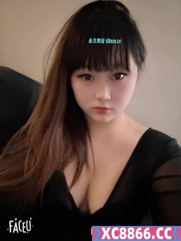 沈阳铁西小可爱