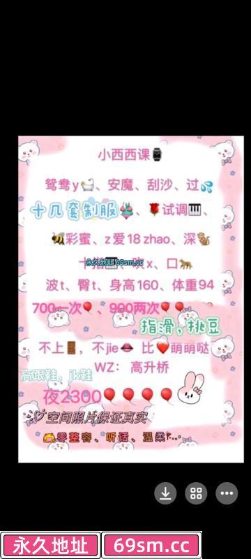 高升桥西西