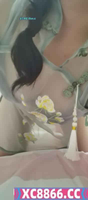 蜀山猫猫