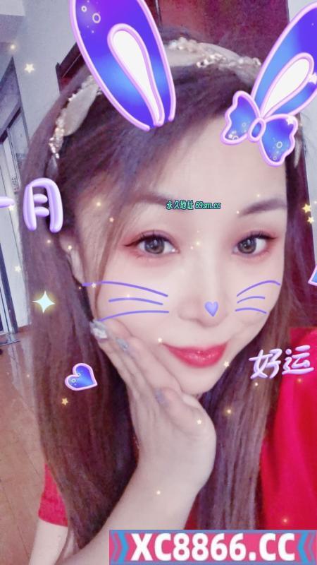 北辰小燕子