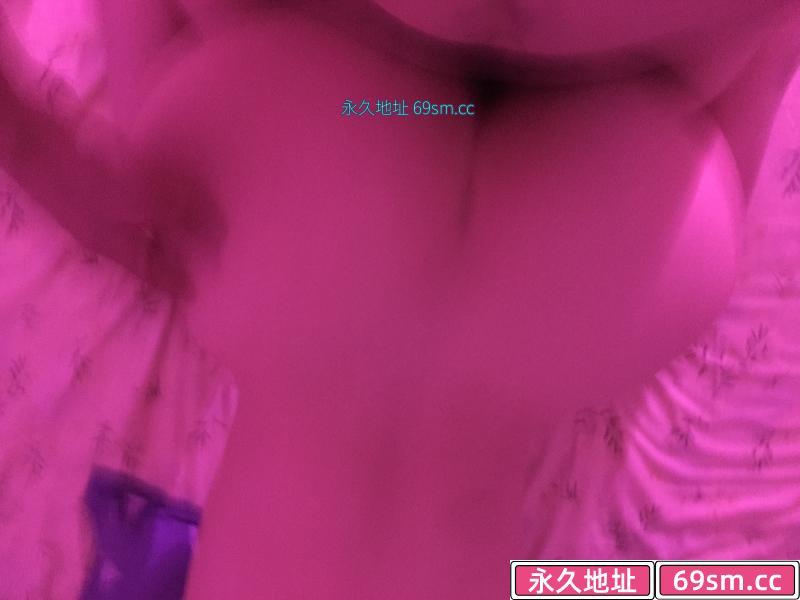 拱墅橙子