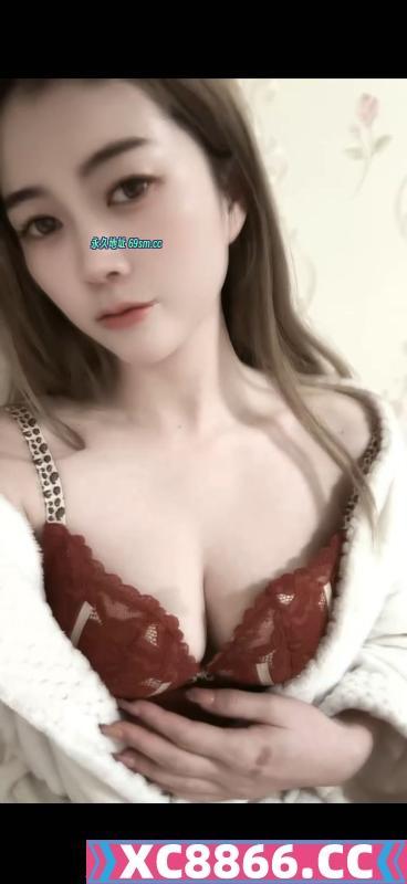 二探团子