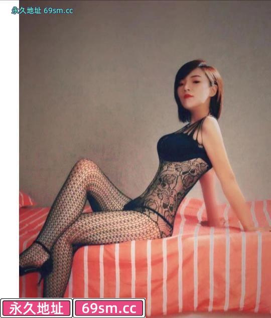 南口路贝贝回归