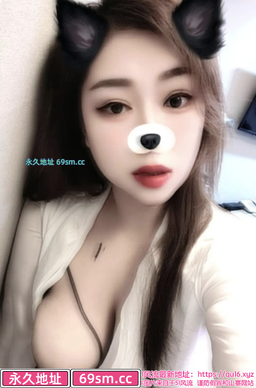 澳门狸狸