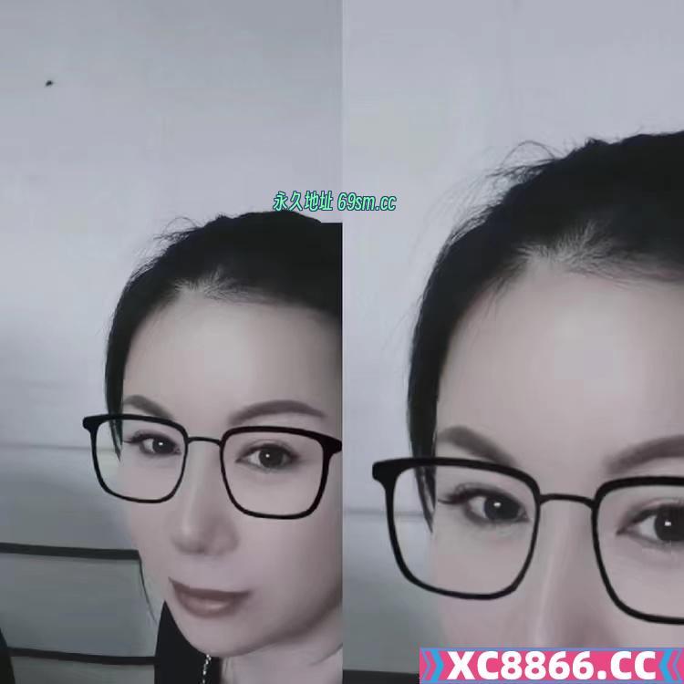 东丽双飞