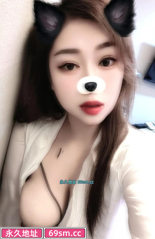 澳门狸狸