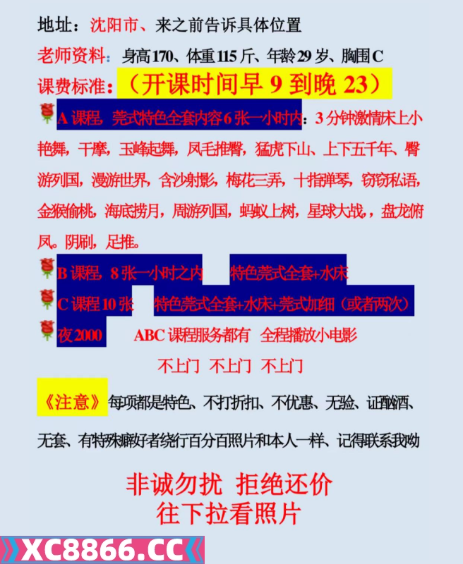 莞式九儿