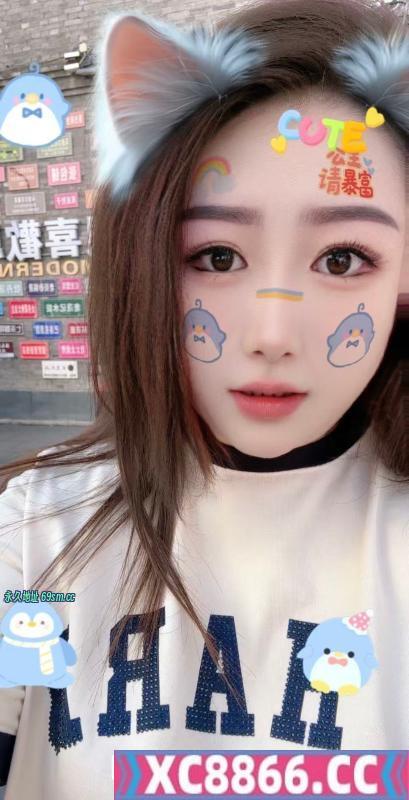 齐市菲菲
