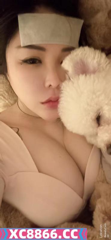 中项服务