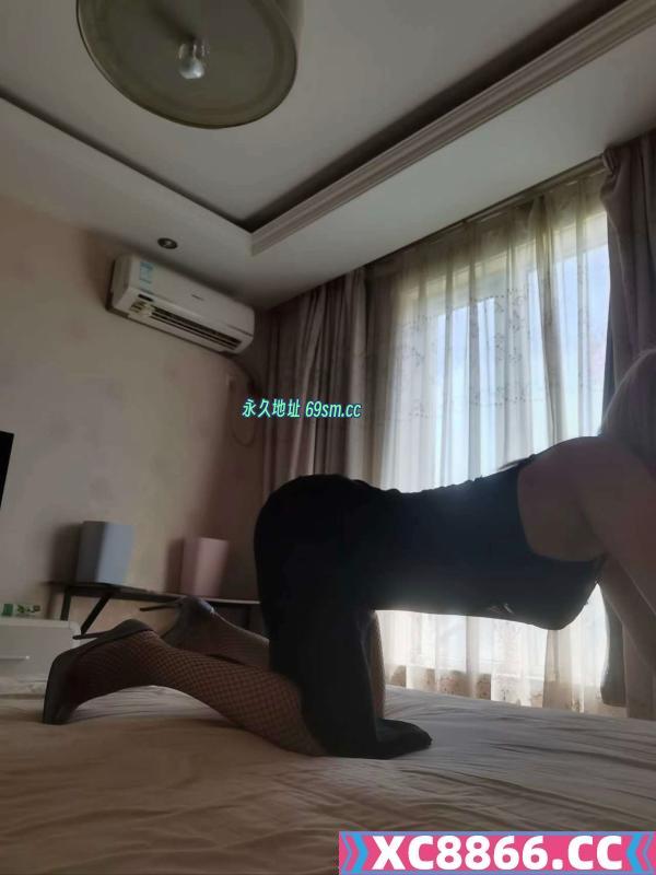 团结桥浙江骚妇