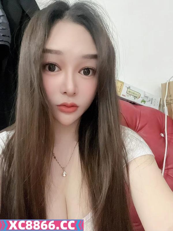 南开小野猫