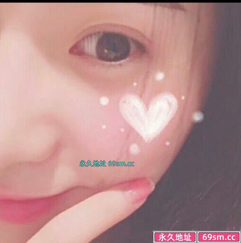  合肥姚海小野猫体验