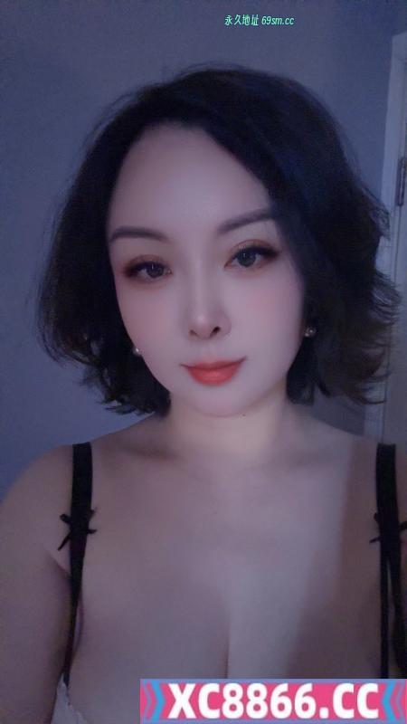 南昌蓝白猫