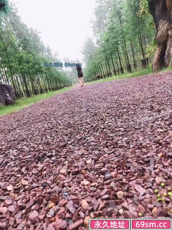 瑶海小少妇