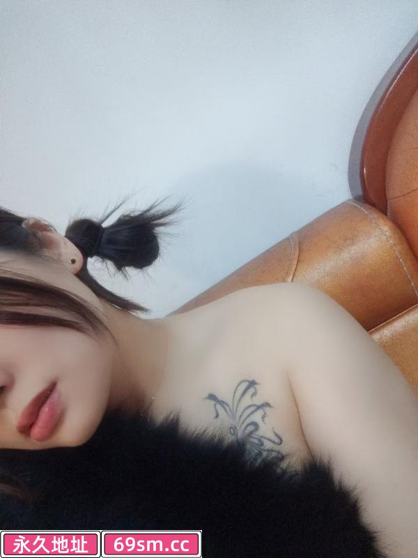 德州双凤