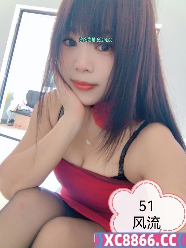 树木岭小狐狸