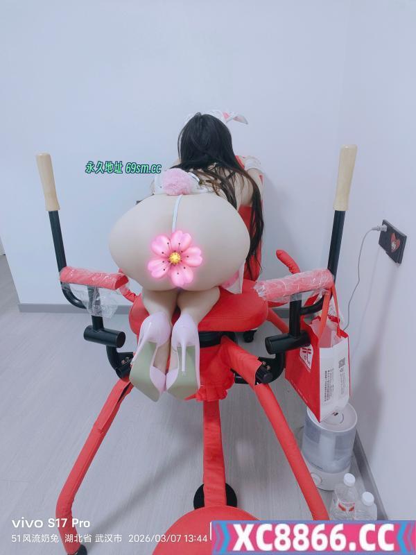 武汉奶兔