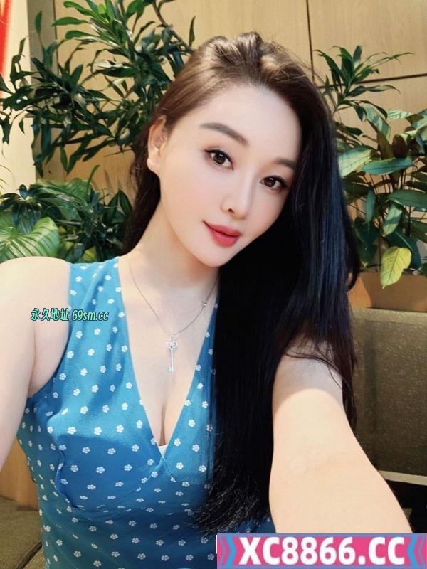沙井白虎Hannah