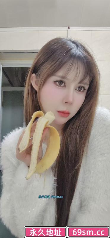南星桥小艺