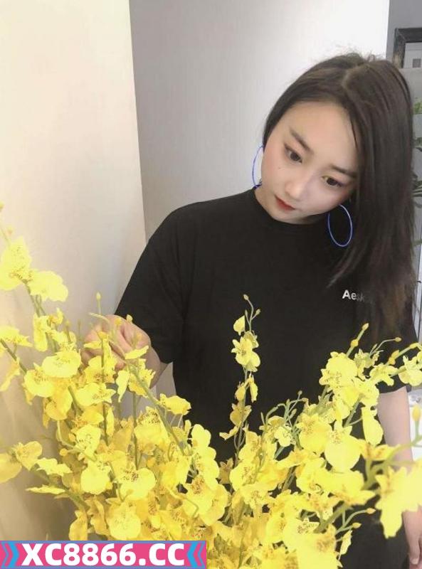 南山珊珊会计妹