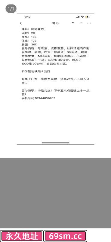 技术流小雅
