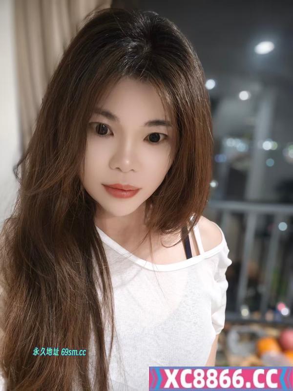 顺德小野猫