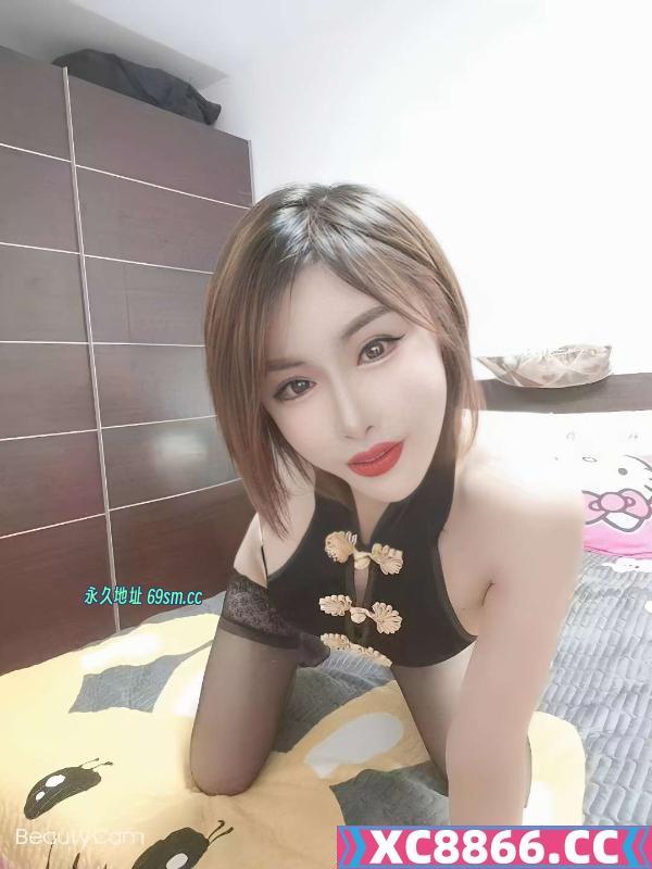 河东小骚货晴子