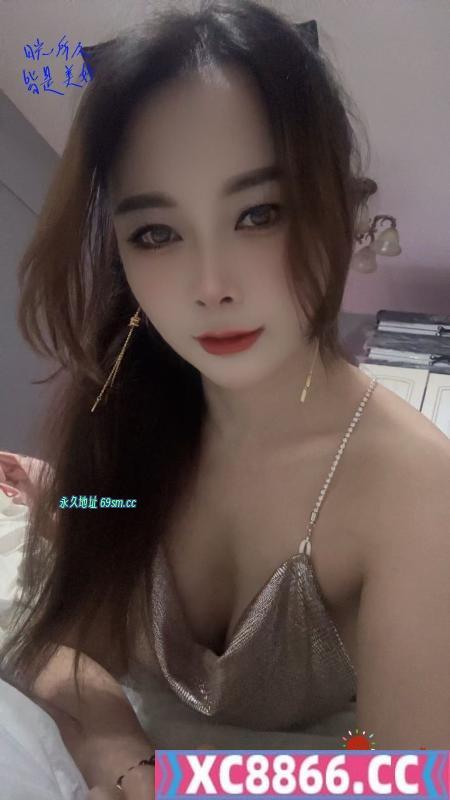 包河小猫咪