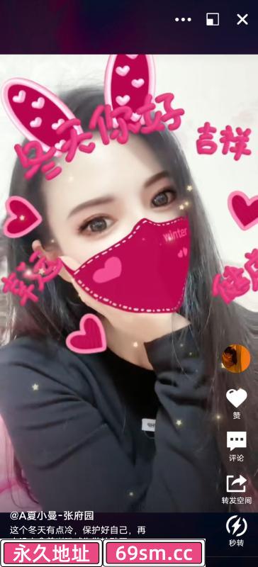 张府园楼凤