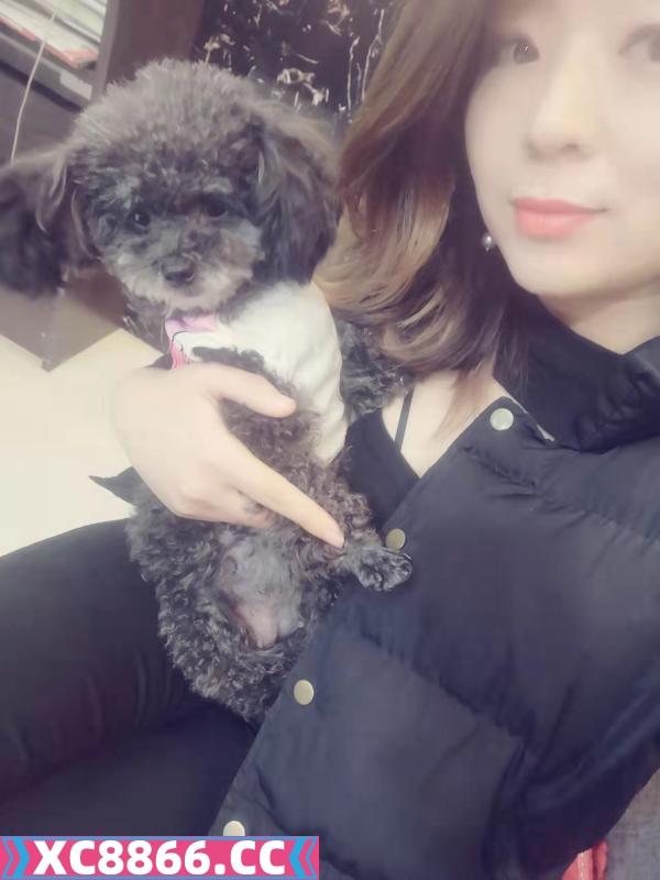 东北性感少妇