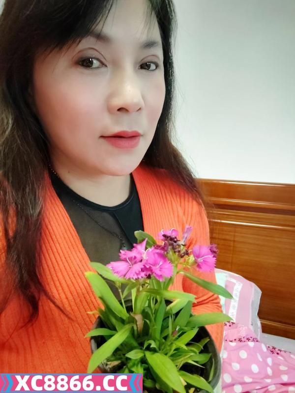 鼓楼熟女